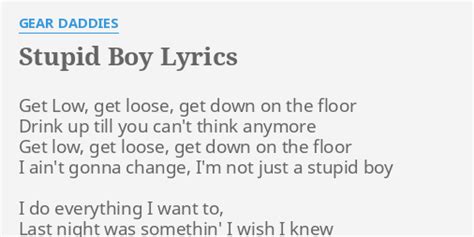 stupid boy lyrics